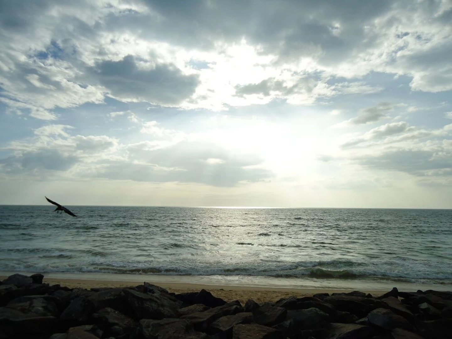 jüSTa Turtlebay on Sea