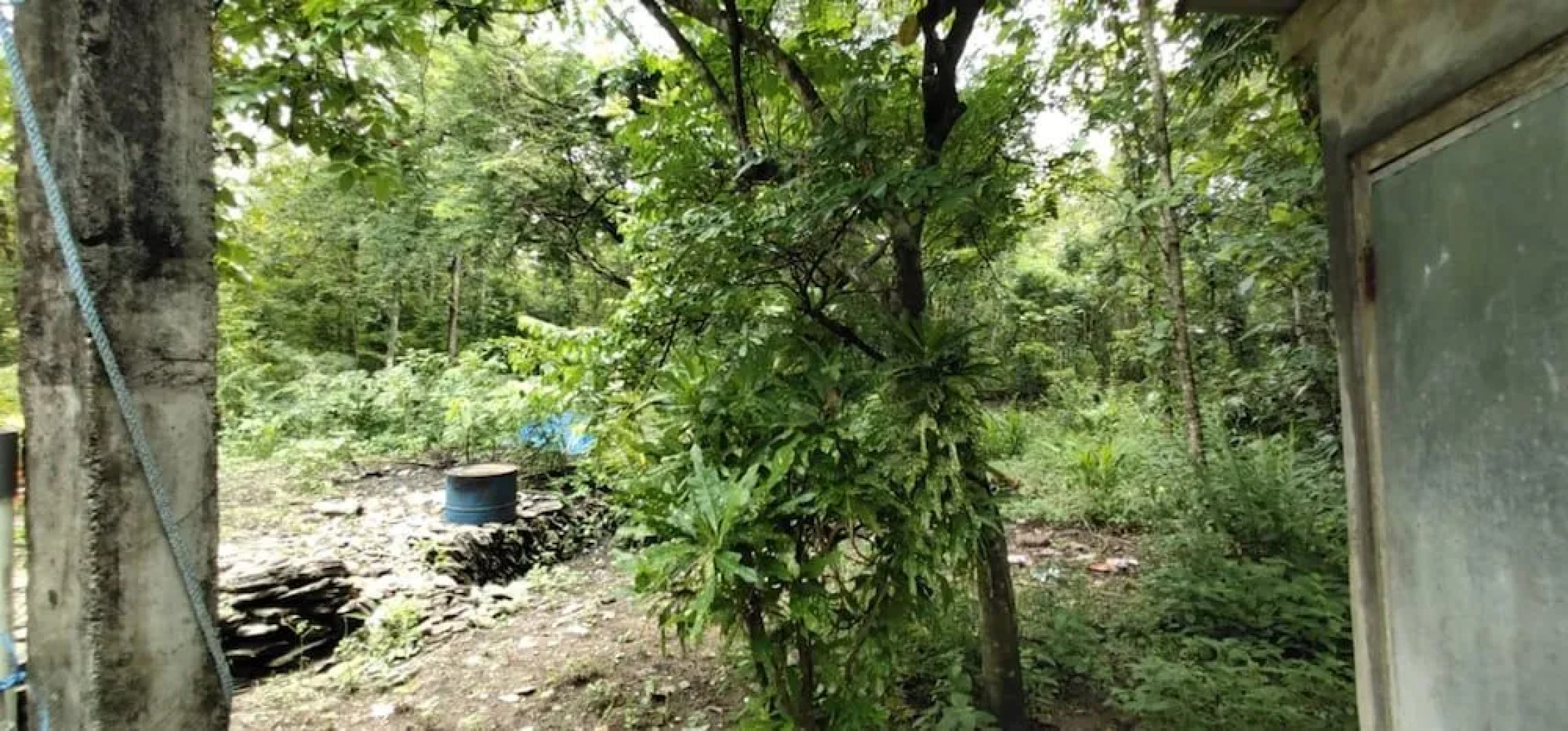 Homestay Dulngori Syariah