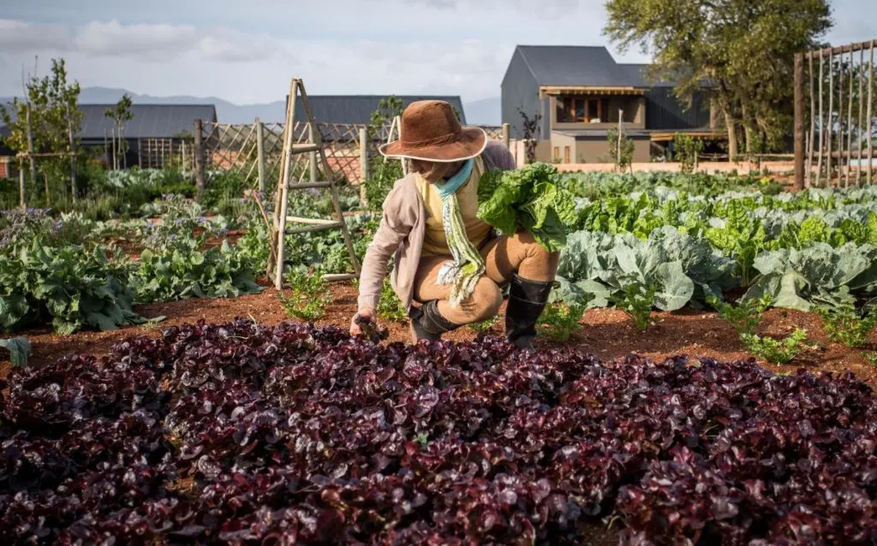 Botlierskop The Village Lodge