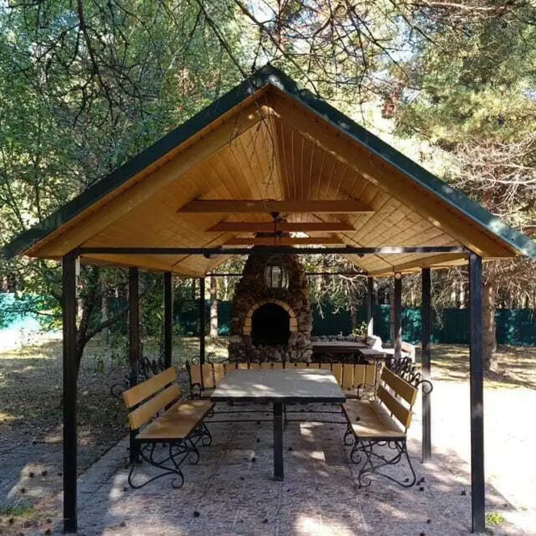 Рябинушка 1