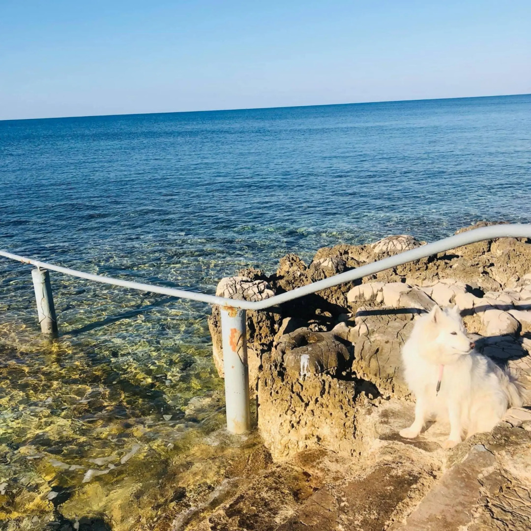 Nata a - A4(4) in Umag