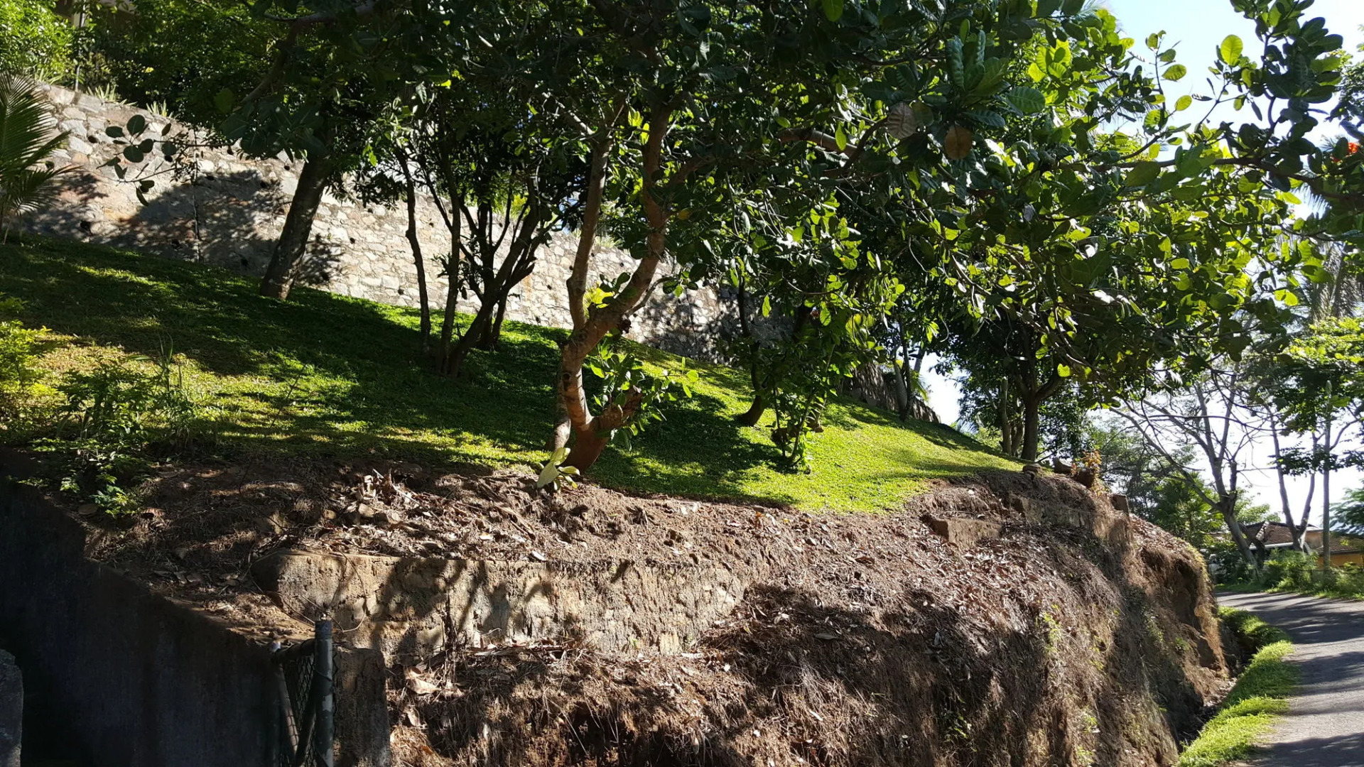 The Albatross, Kandy