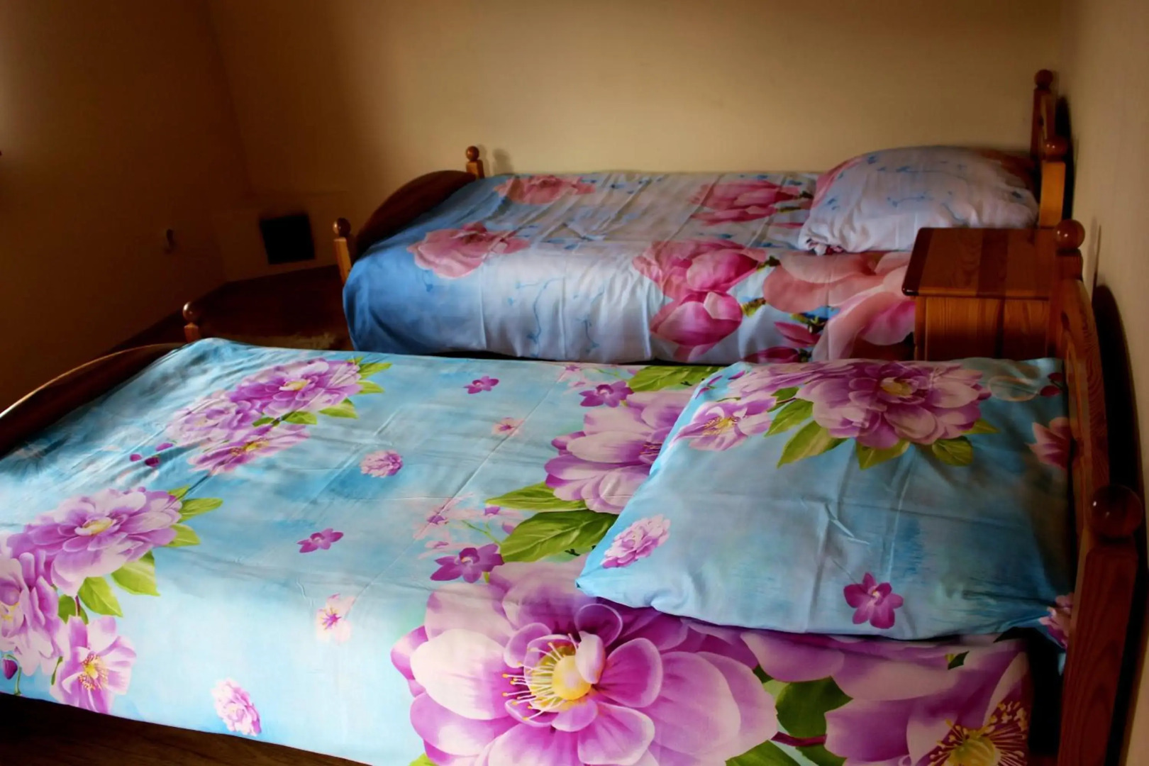 Zawoja Chaty Górskie D5