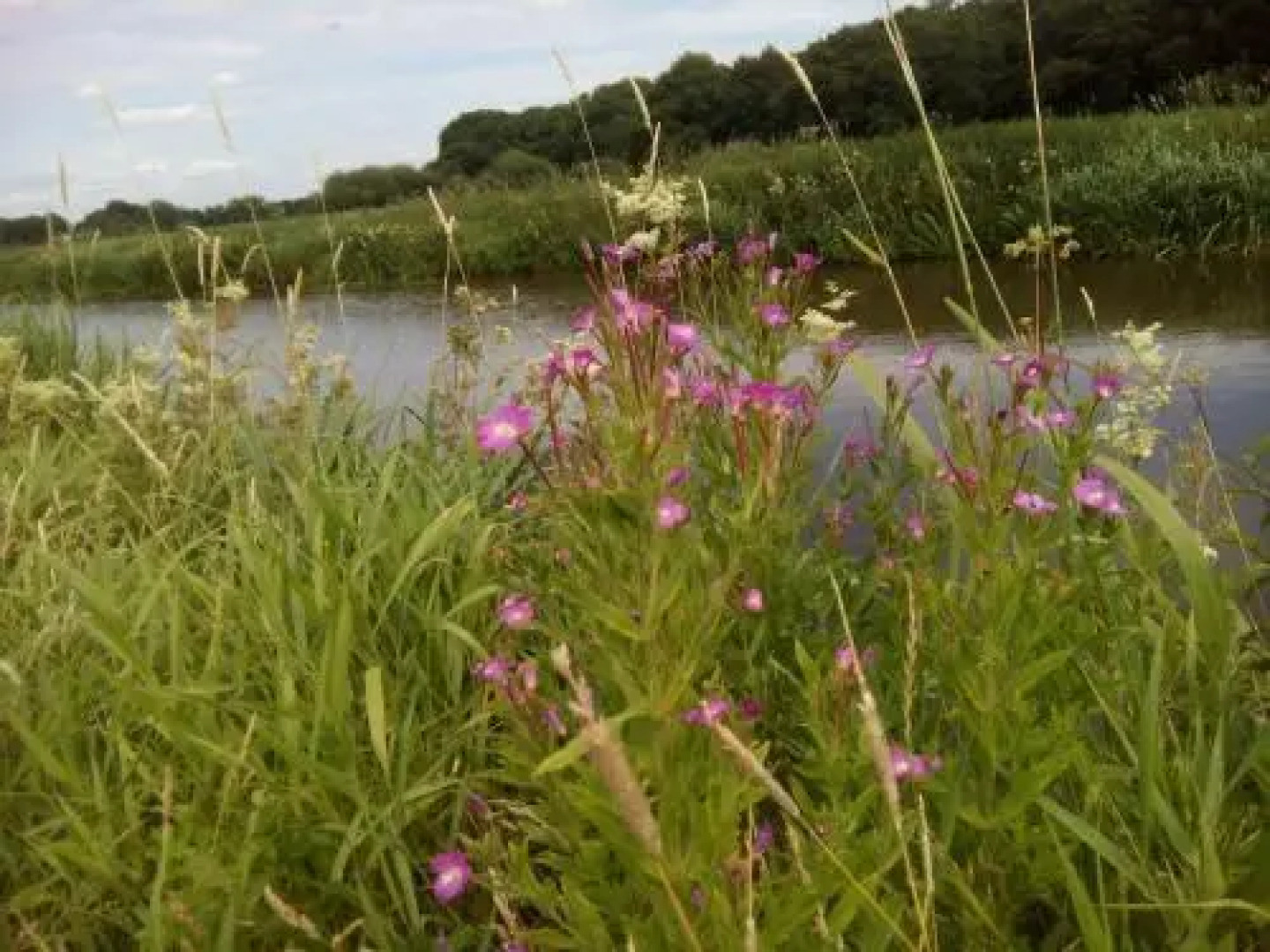 Appartement de Havezate