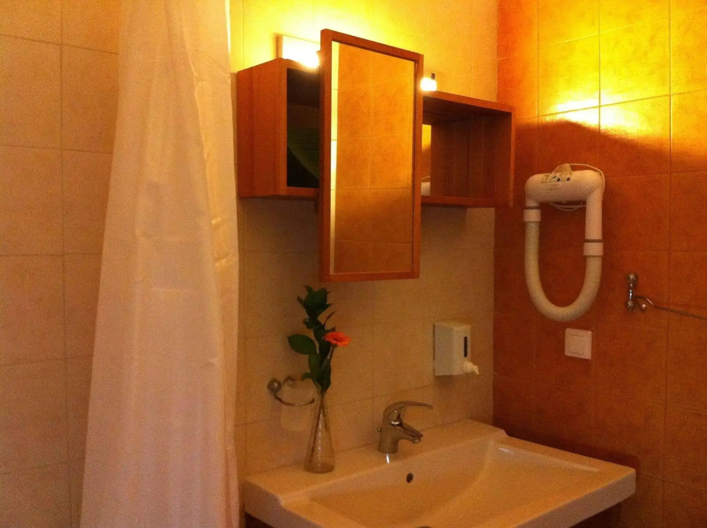 Volissos Holiday Homes