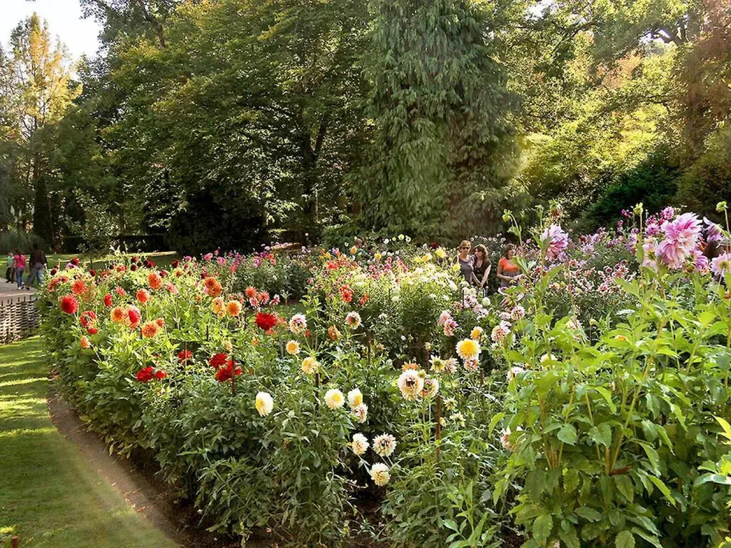 ibis budget Orléans Nord Saran