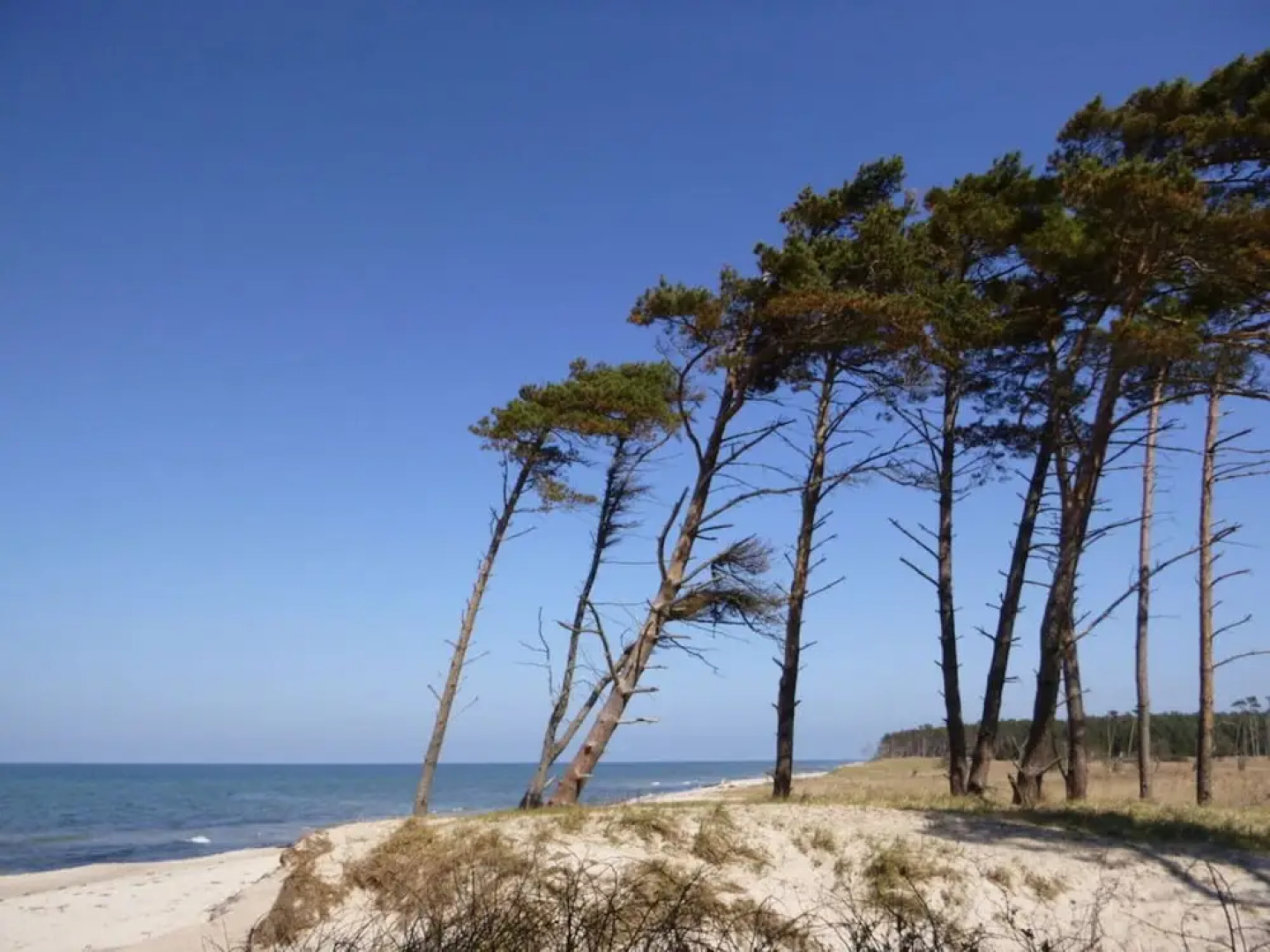 Baltic Sea Dromelhus