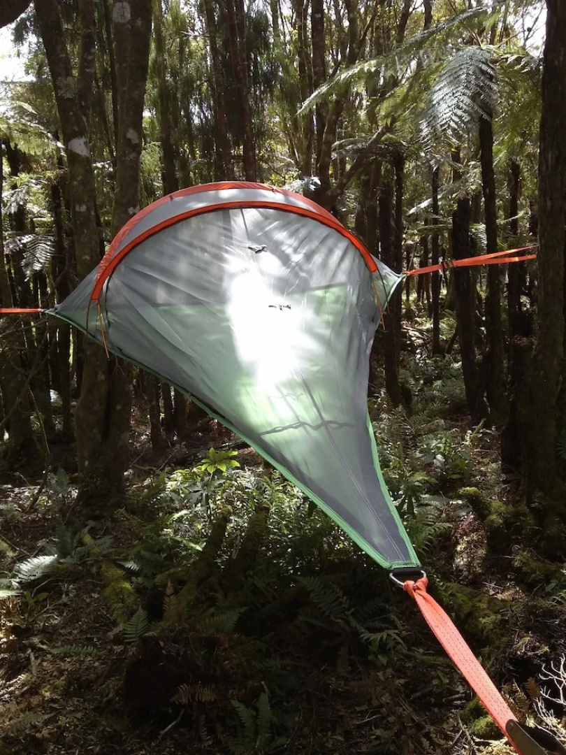 Pupu Rangi Nature Sanctuary - Conservation Area