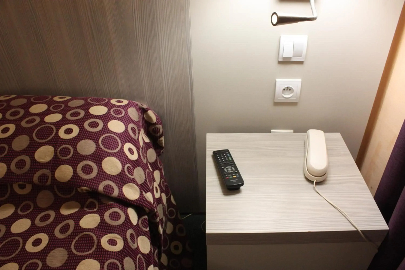 Hotel Excelsior Republique