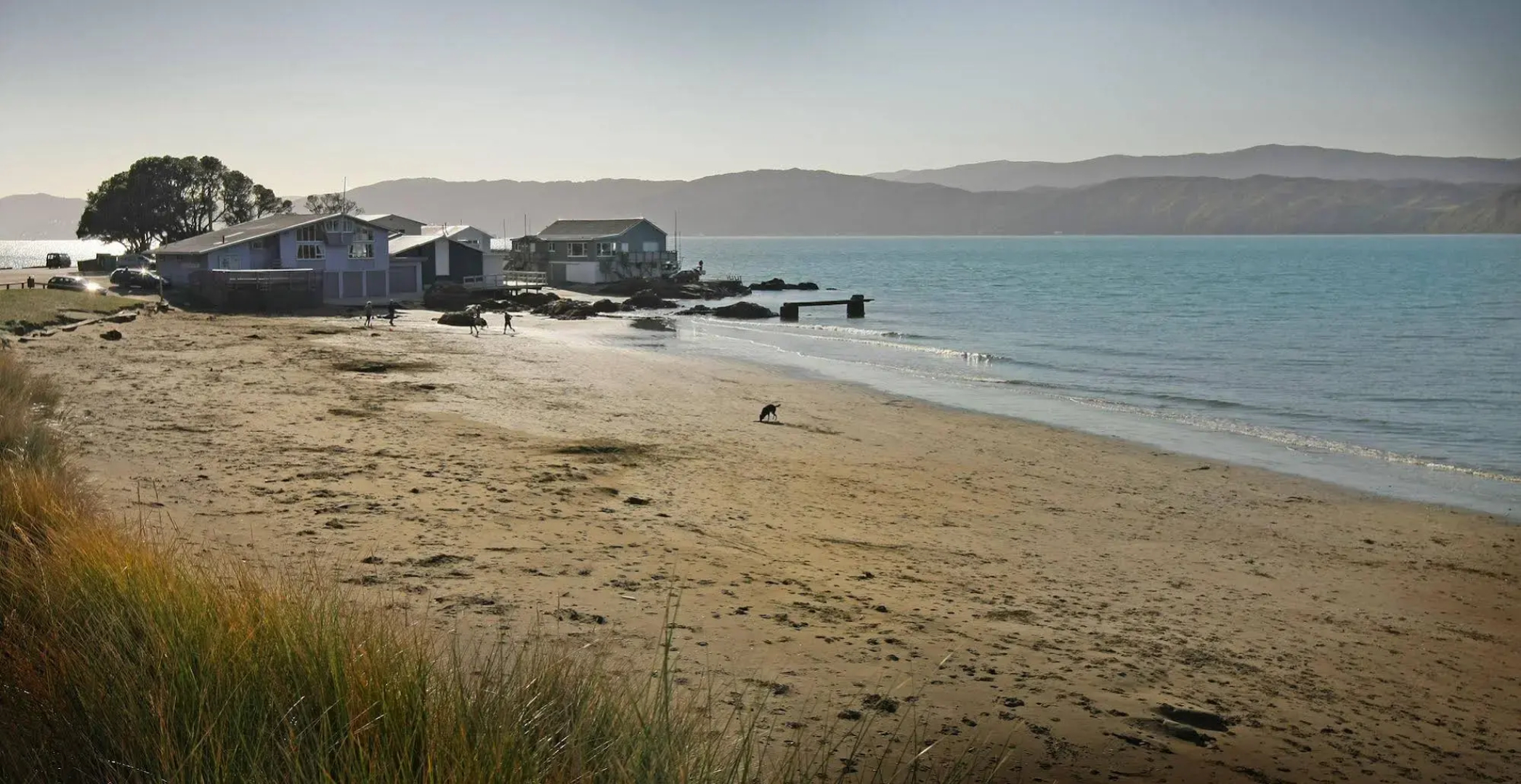 Beachfront Wellington Bed and Breakfast
