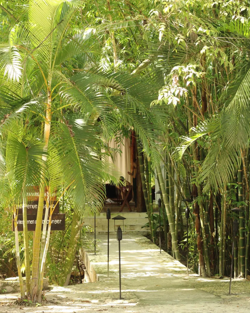 Piedra de Agua Hotel Boutique Palenque