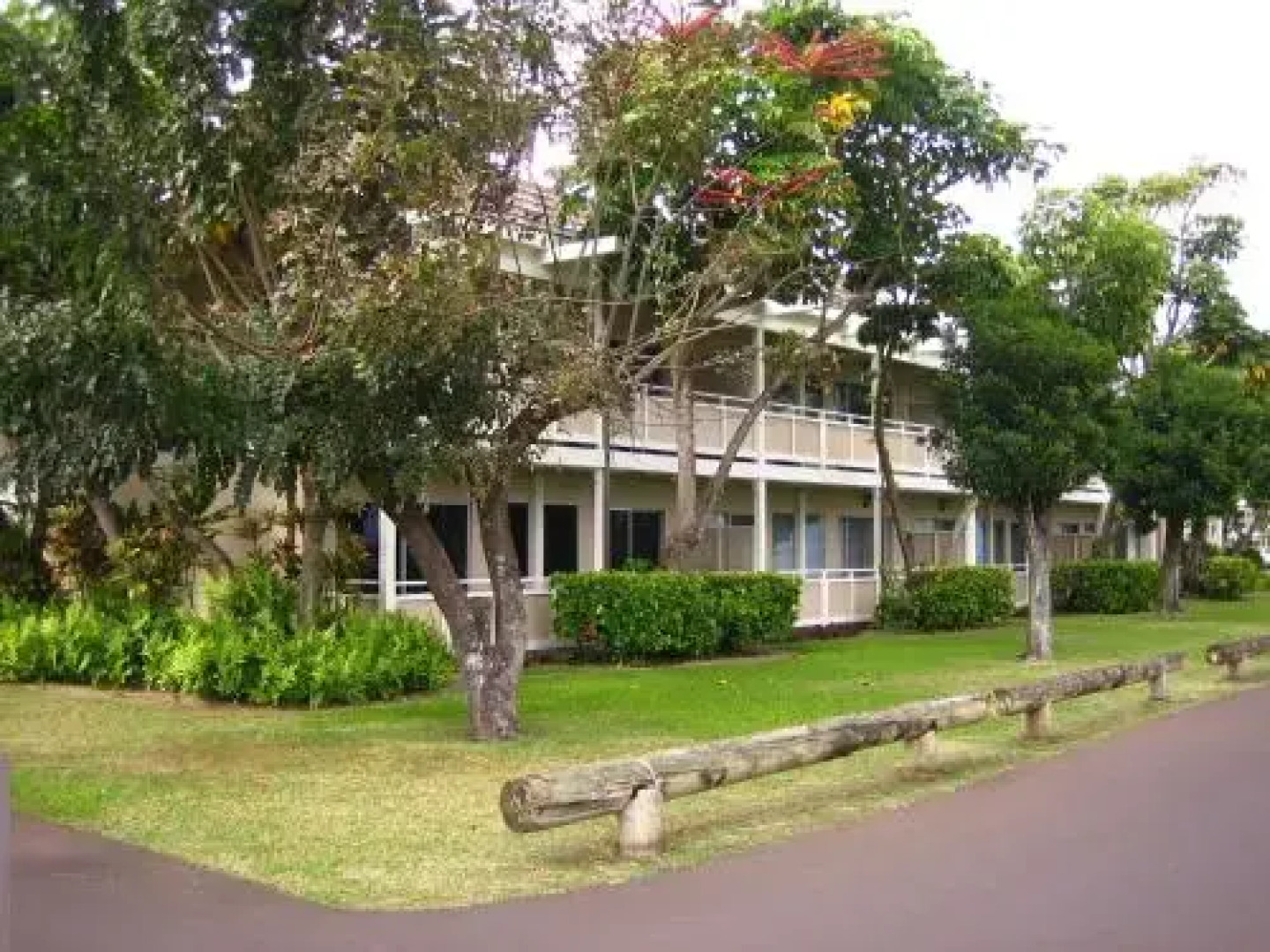 Plantation Hale J8