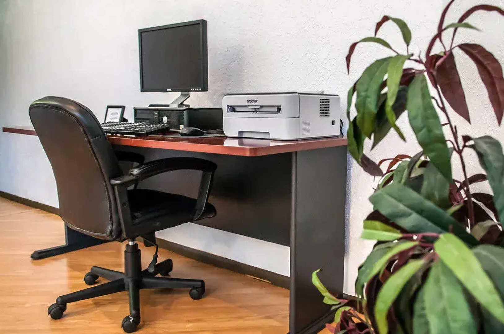 Pan American Inn & Suites