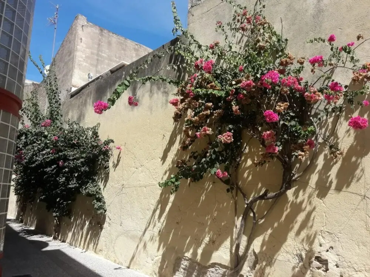House With 2 Bedrooms in Jerez de la Frontera, With Terrace and Wifi