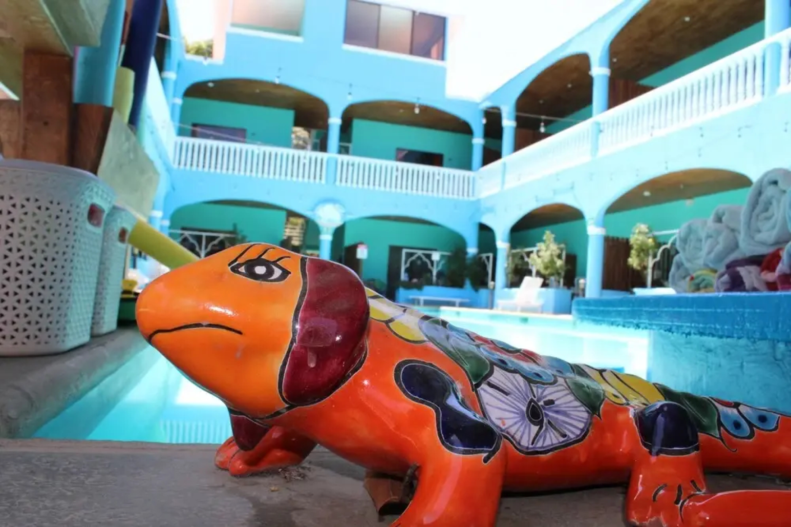 Toro Blanco Resort