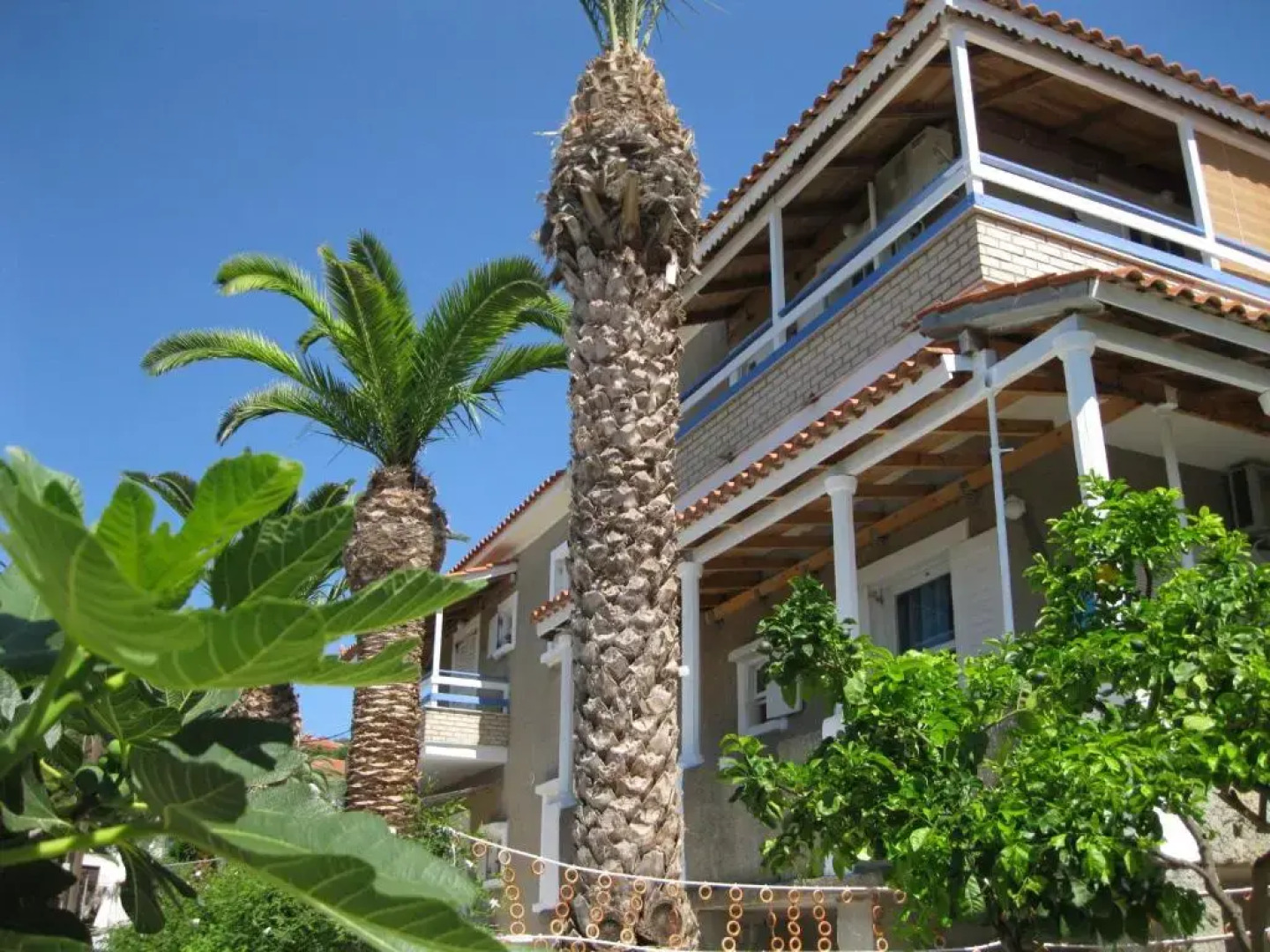 Alex - Nancy Apartments - Zaga Beach