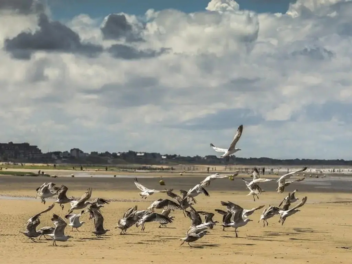 Le Grand Hotel de Cabourg - MGallery Collection