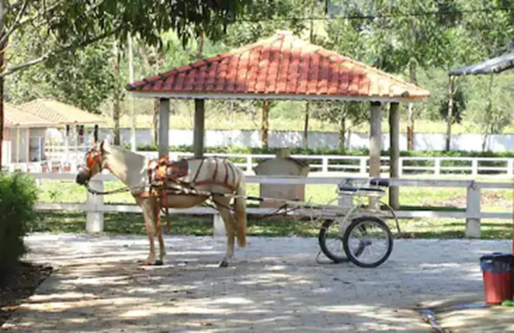 Resort Recanto do Teixeira - All Inclusive