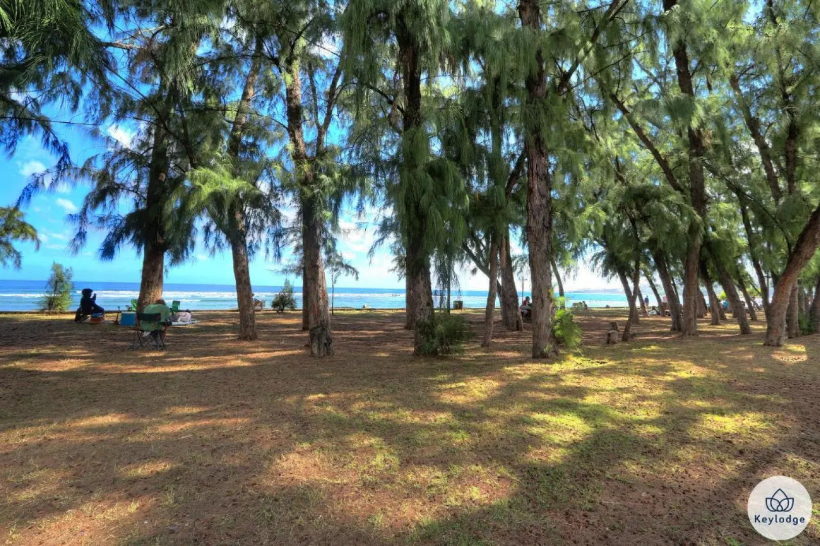 T3 – Leu Filao - 70m2 – Plage et Lagon de Saint-Leu