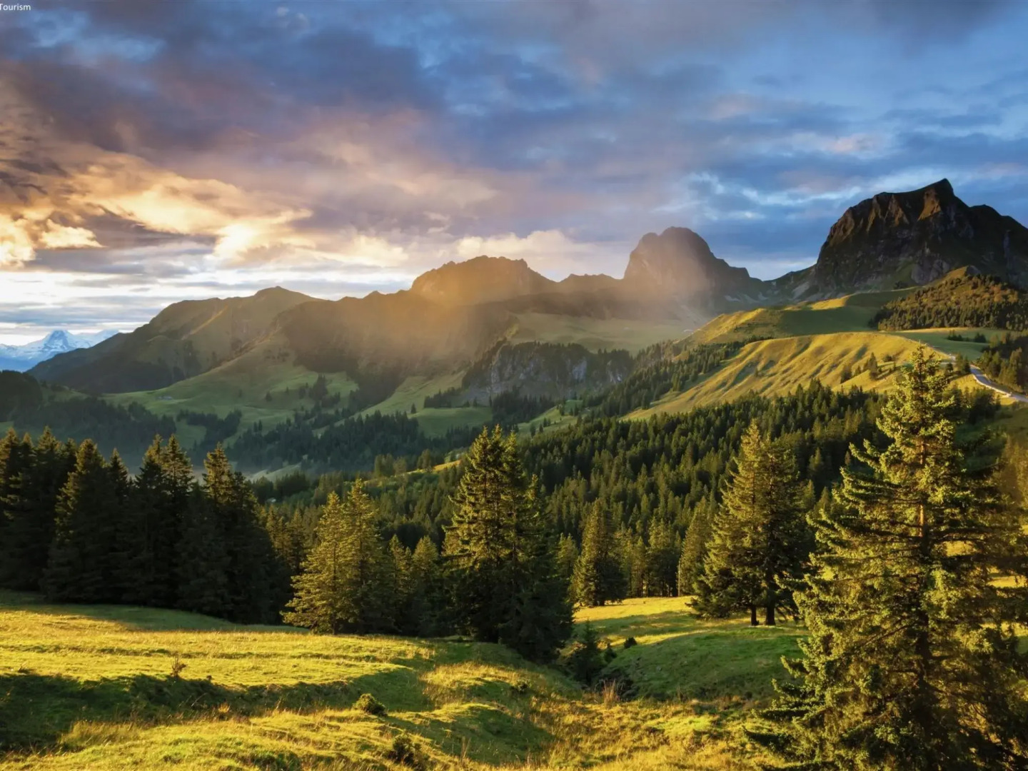 Chalet in Riddes Near Ski Lift Les 4 Vallees