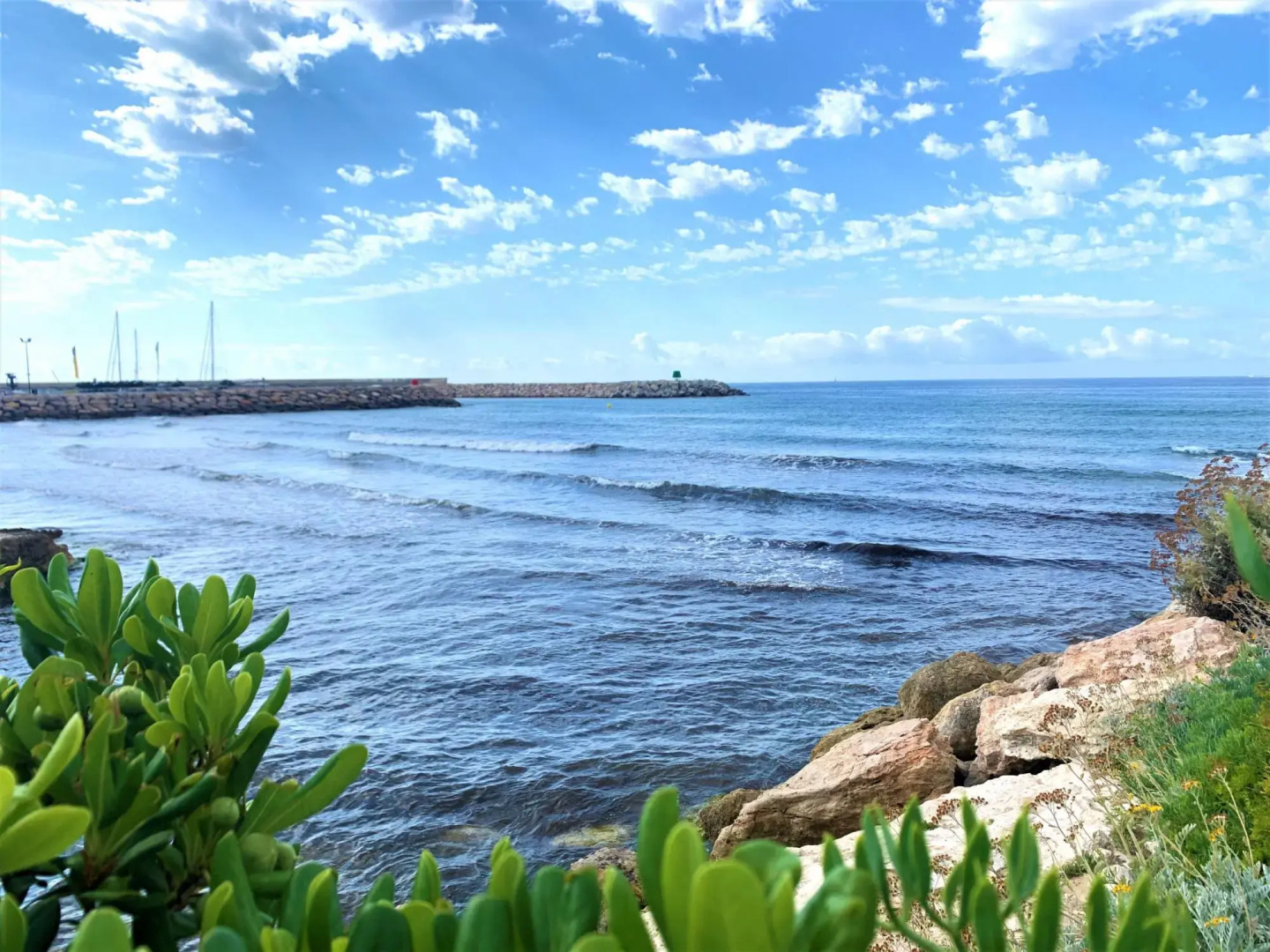 Bfa 44 - Casa Dolors