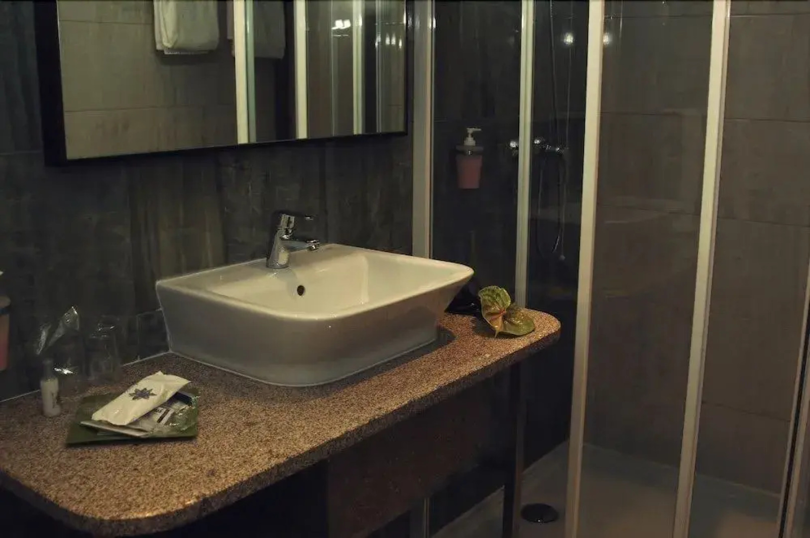 Palace Hotel & Spa Termas de S. Miguel