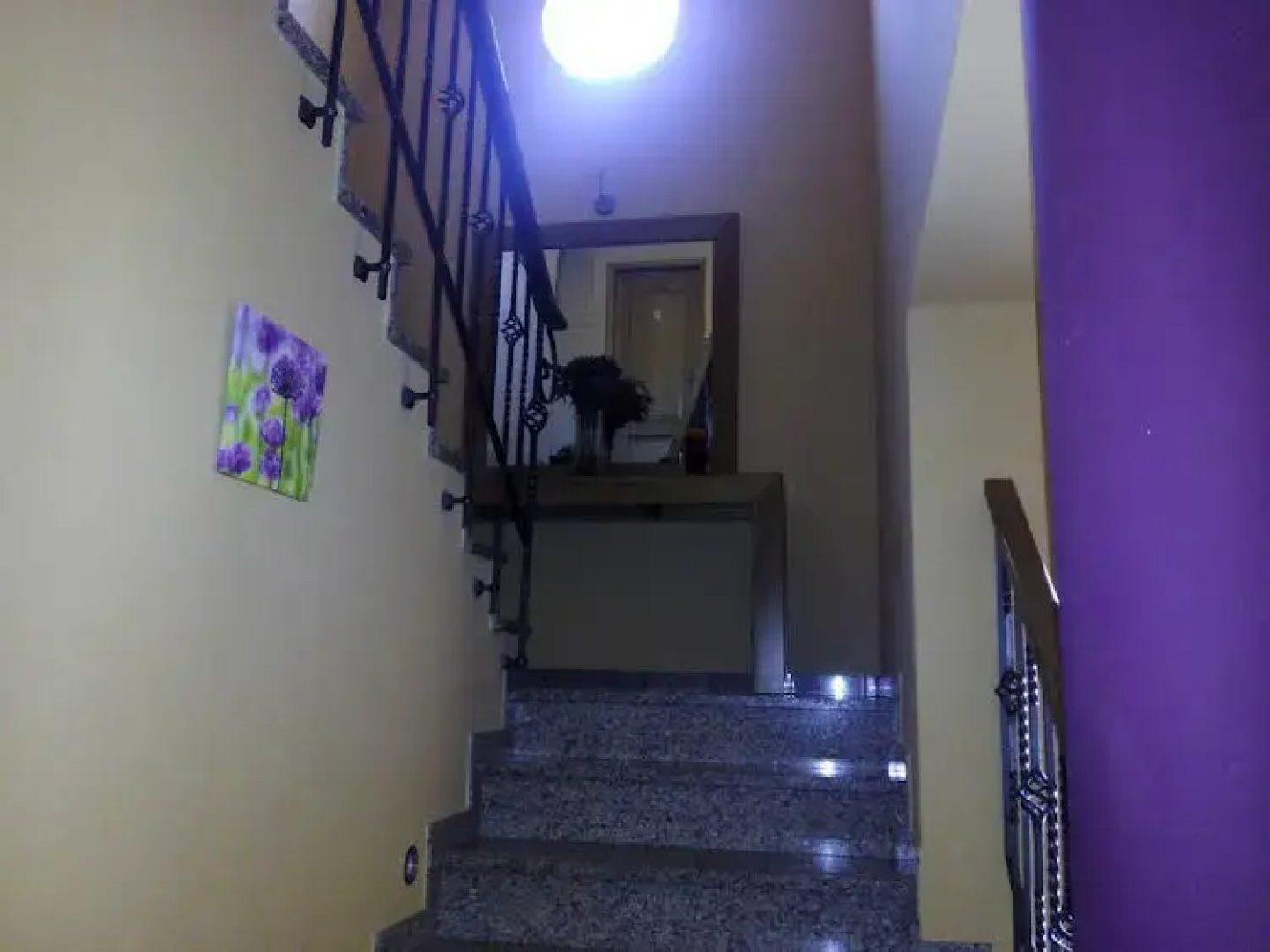 Casa Dos Cedros