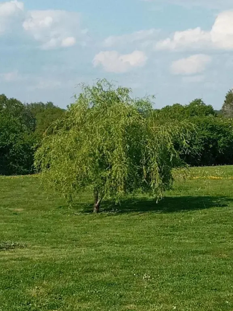 Chez Gondat Chambre d'hotes