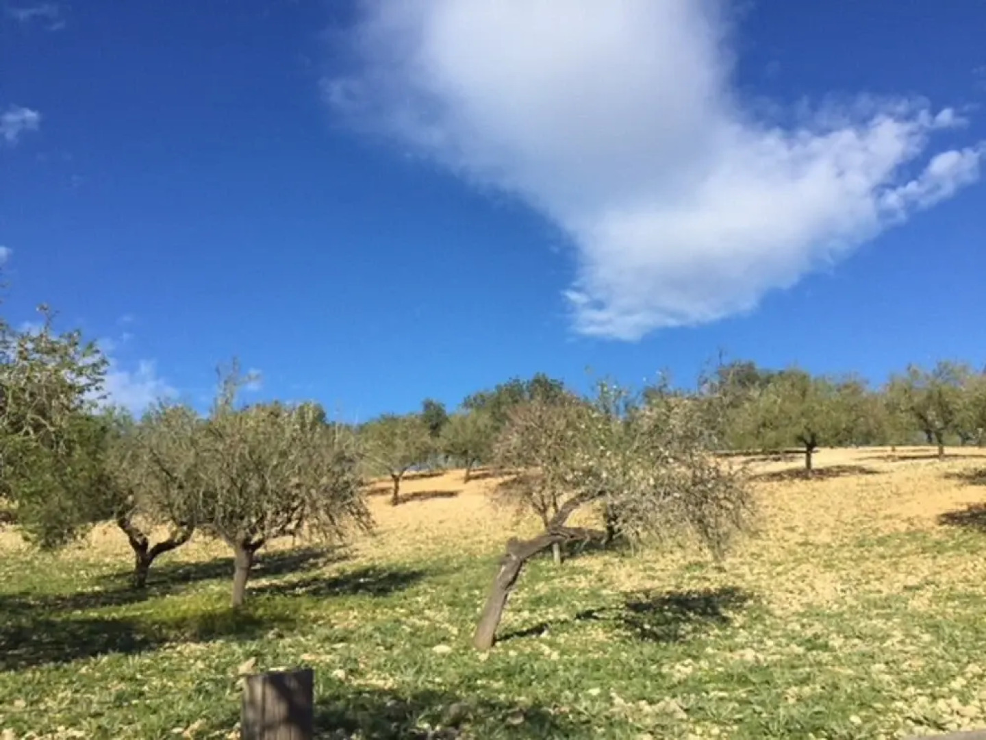 Agroturismo Fincahotel Son Pou AG/322