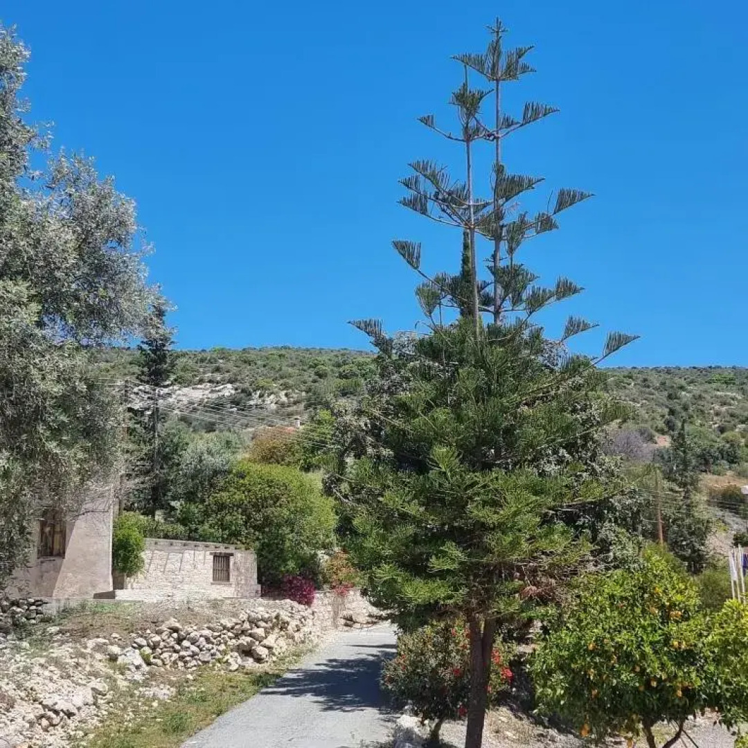 Potamos Private Suites