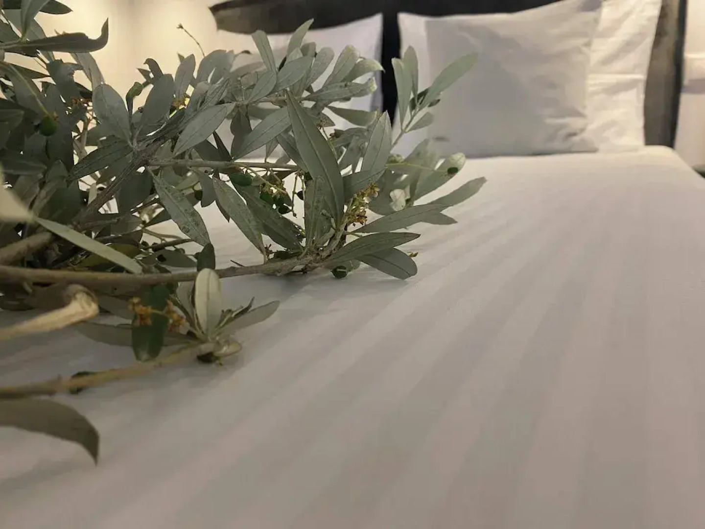 Oniropetra Luxury Suites