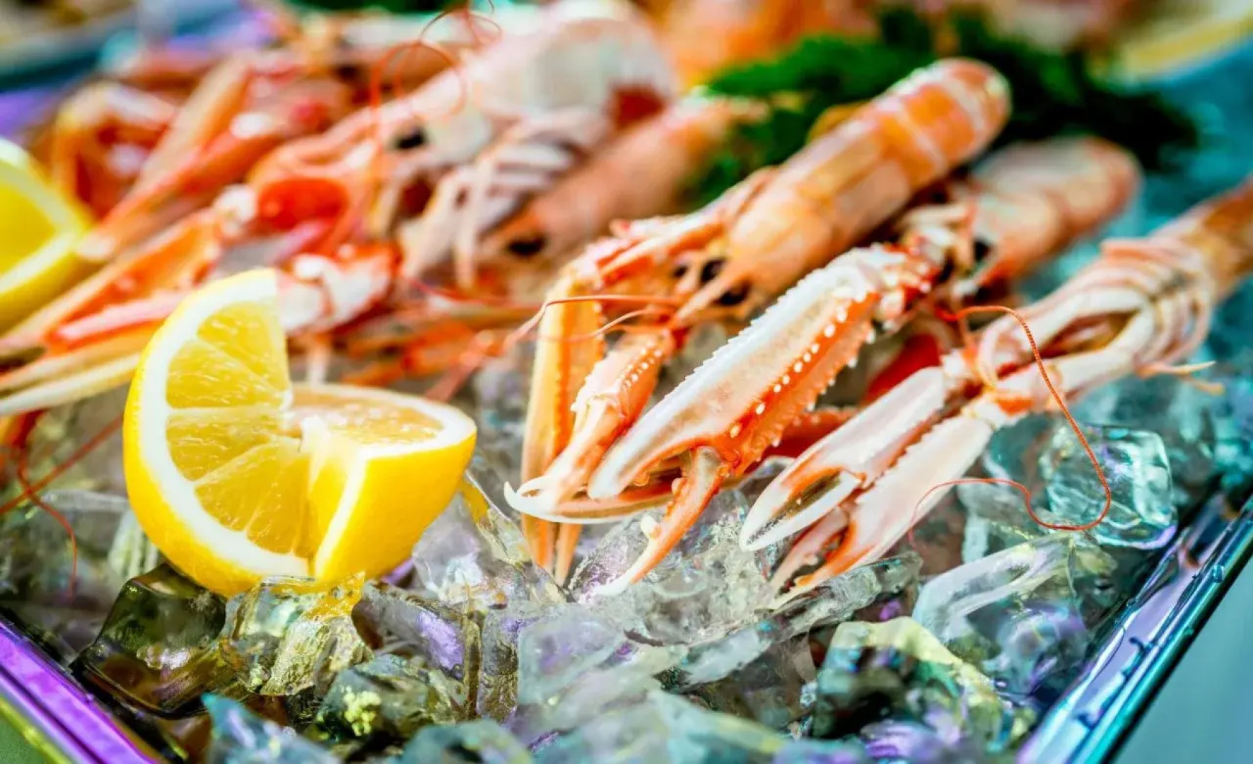 Scandic Victoria Tower