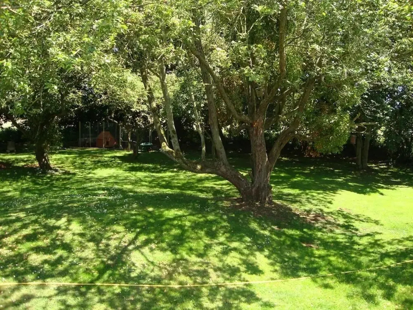 The White Horse View B&B