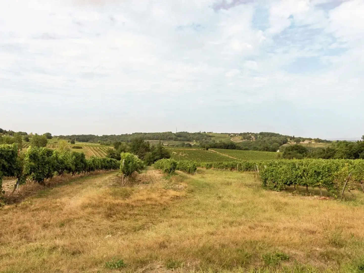 Detached villa with heated private swimming pool, jacuzzi and beautiful views