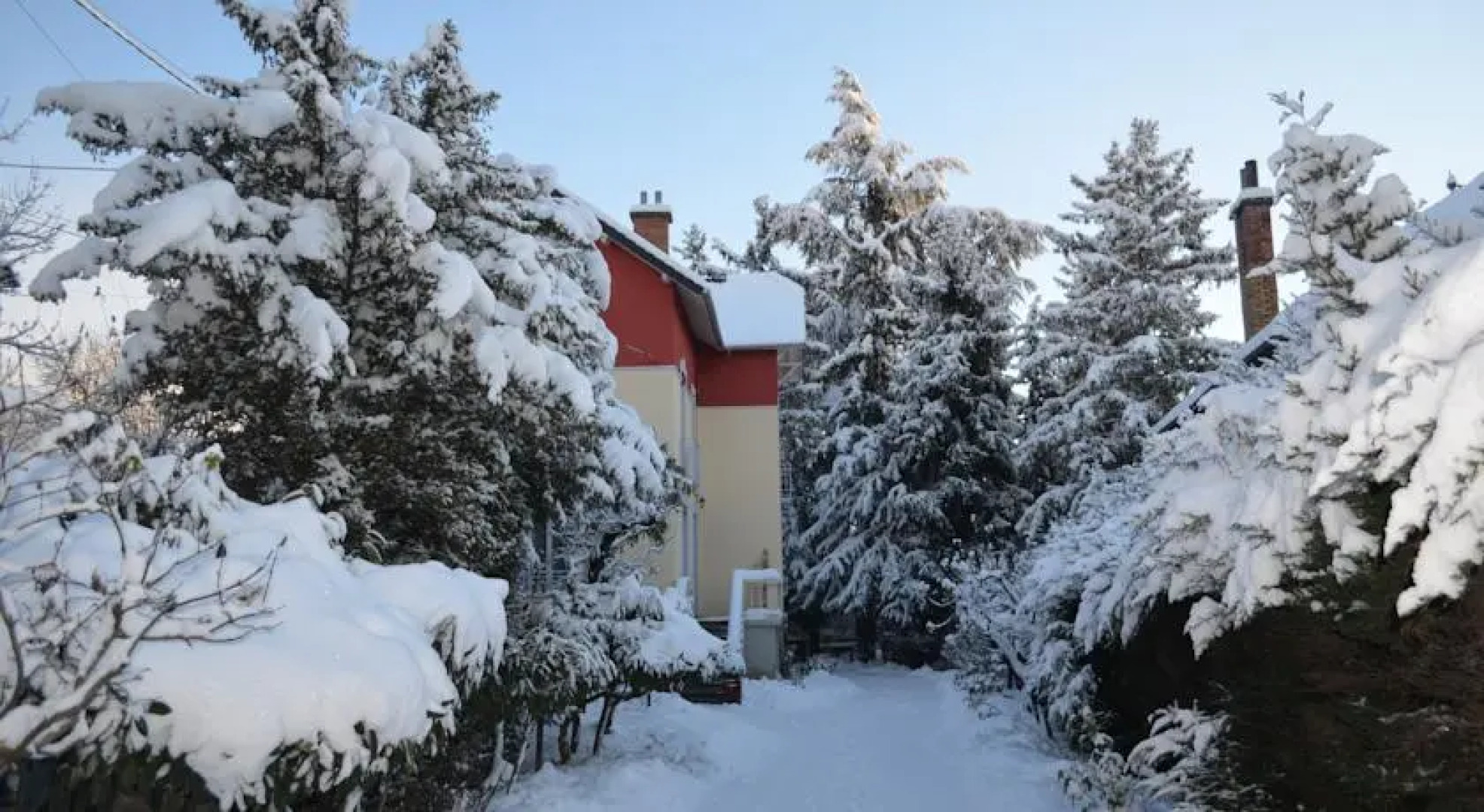 Les Trois Chardons Bleus
