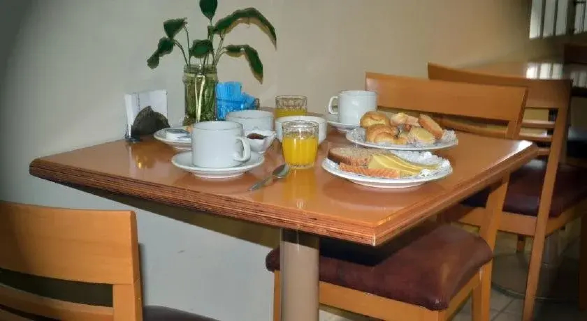 Hotel Los Tilos