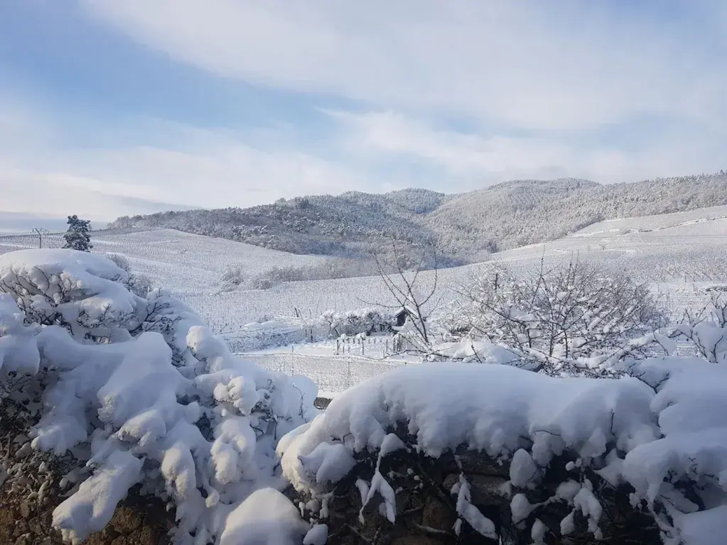 Apartment in Alsace Near Europa-park