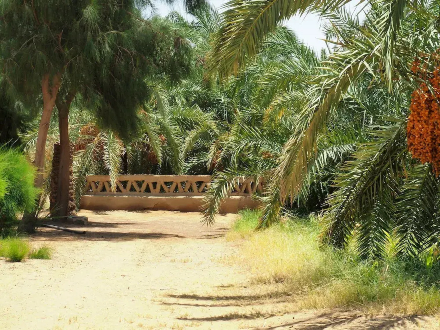 Le Jardin Sous la Lune