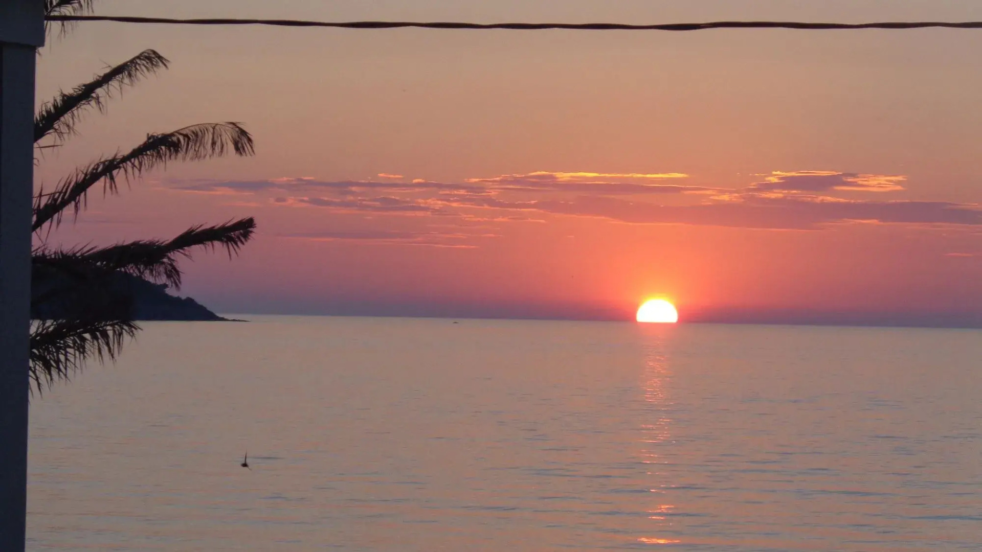 Niki Studios Sea-Front