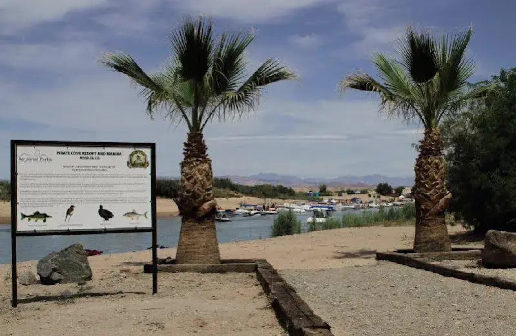 Pirate Cove Resort & Marina