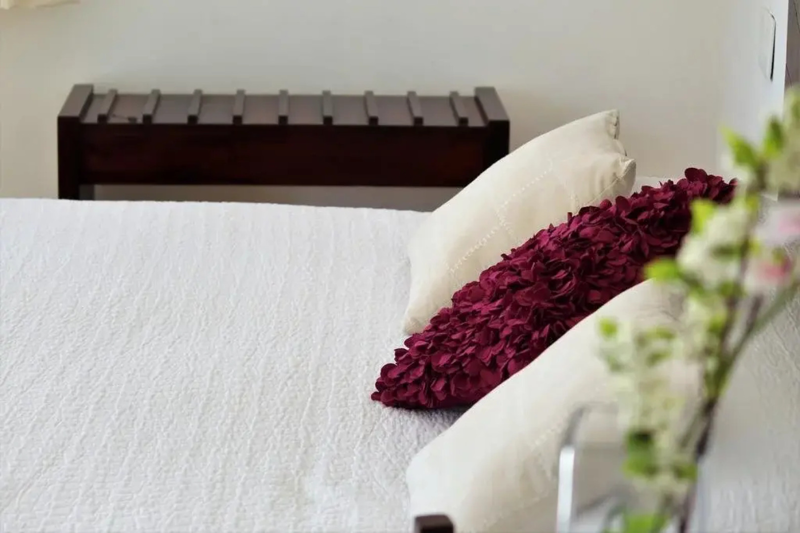 Jungle Secrets Riviera Maya