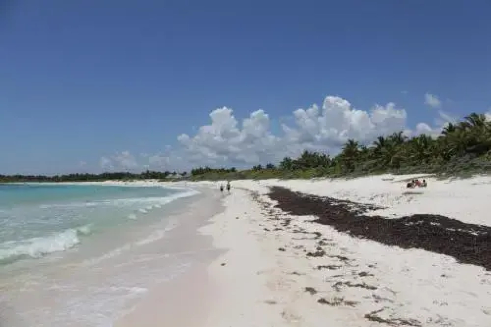 Cavelands in the Jungle