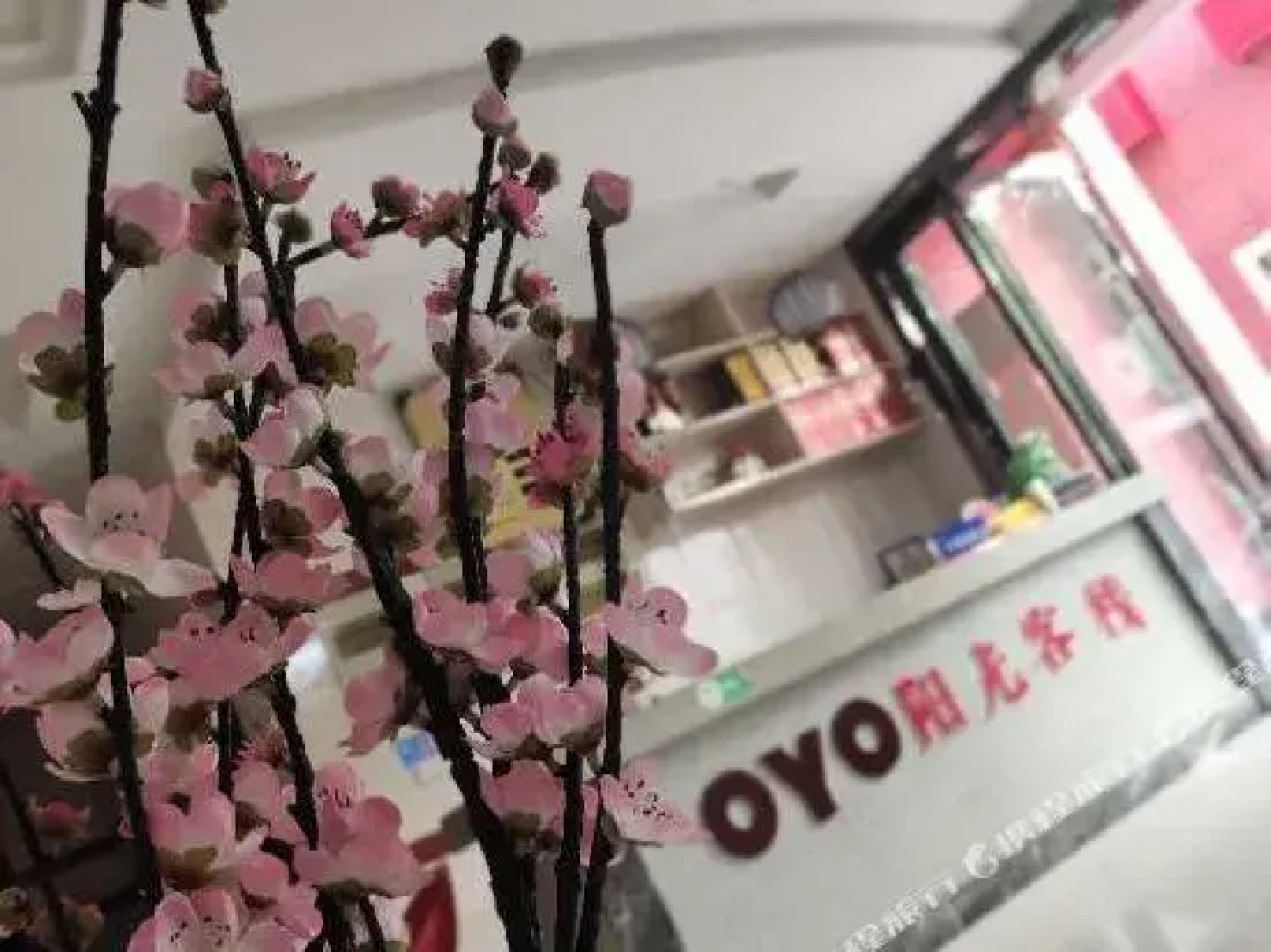 Yingtan Longhushan Sunshine Hostel