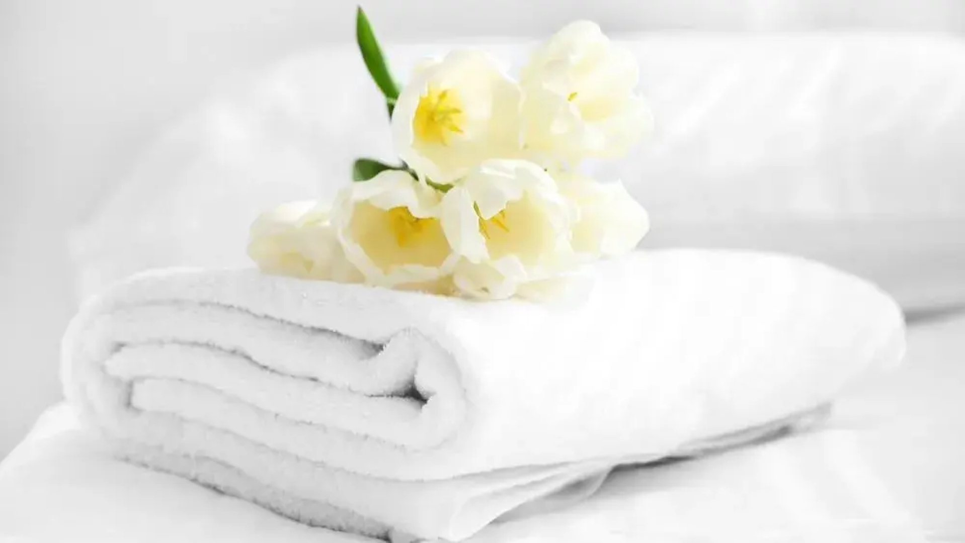 Americas Best Value Inn Jay