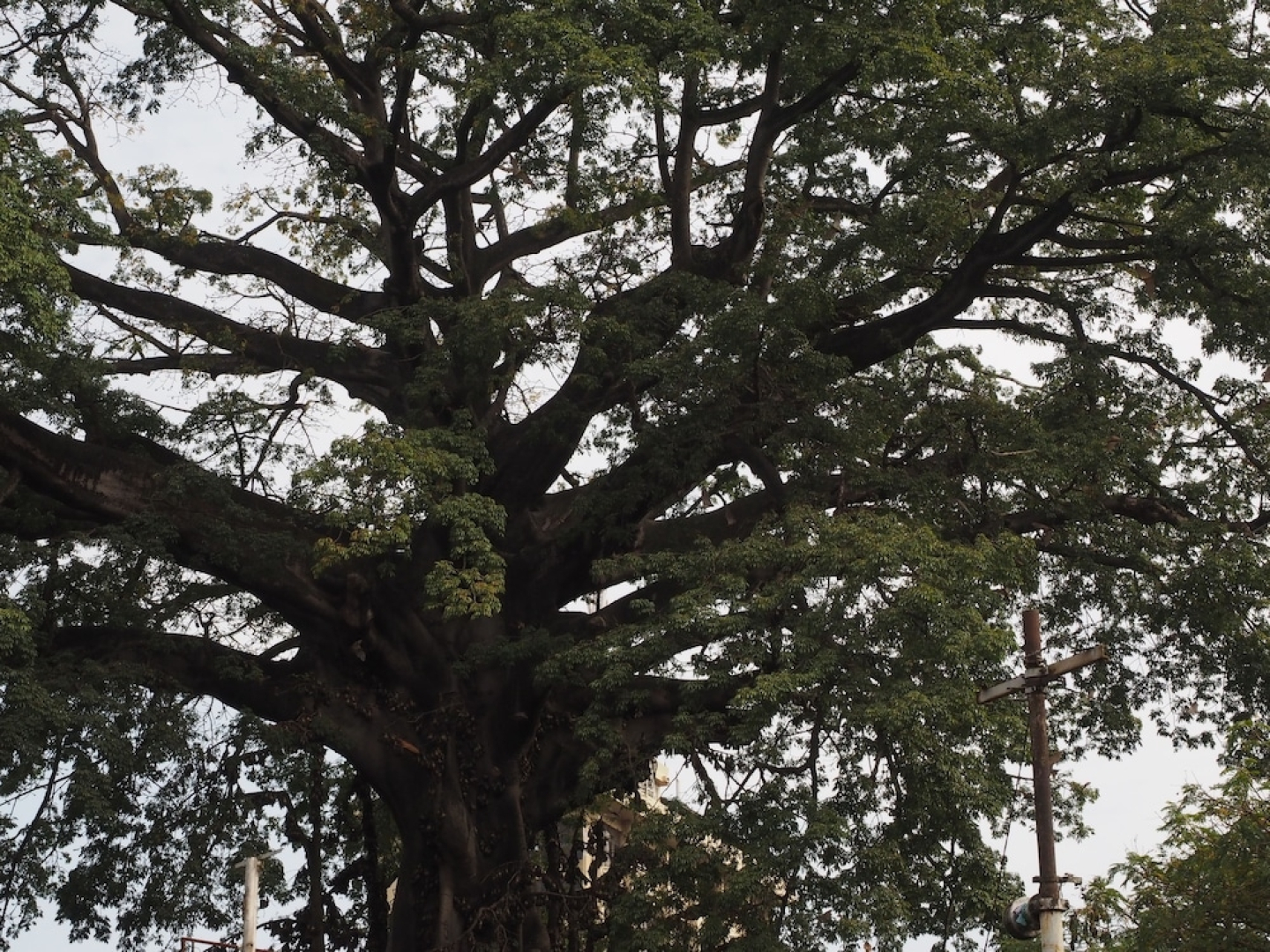 Atlantic Lumley Hotel