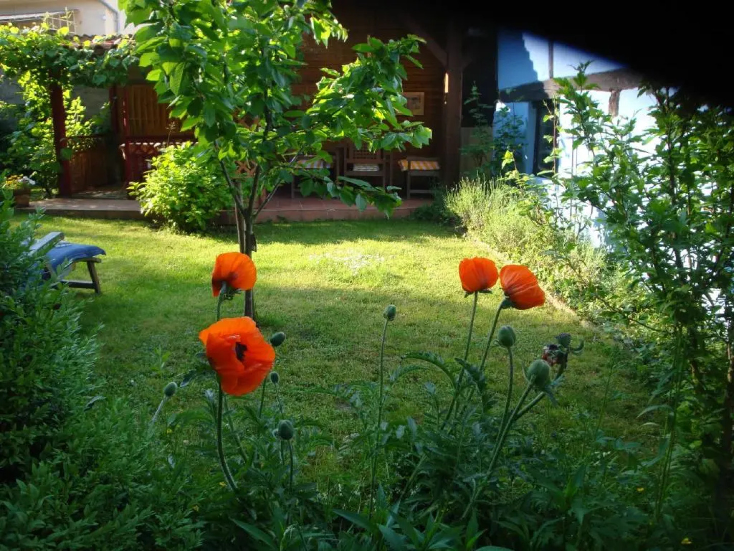 Apartement de vacances Alsace - Ferienwohnung Elsaß - Holiday apartment Alsace