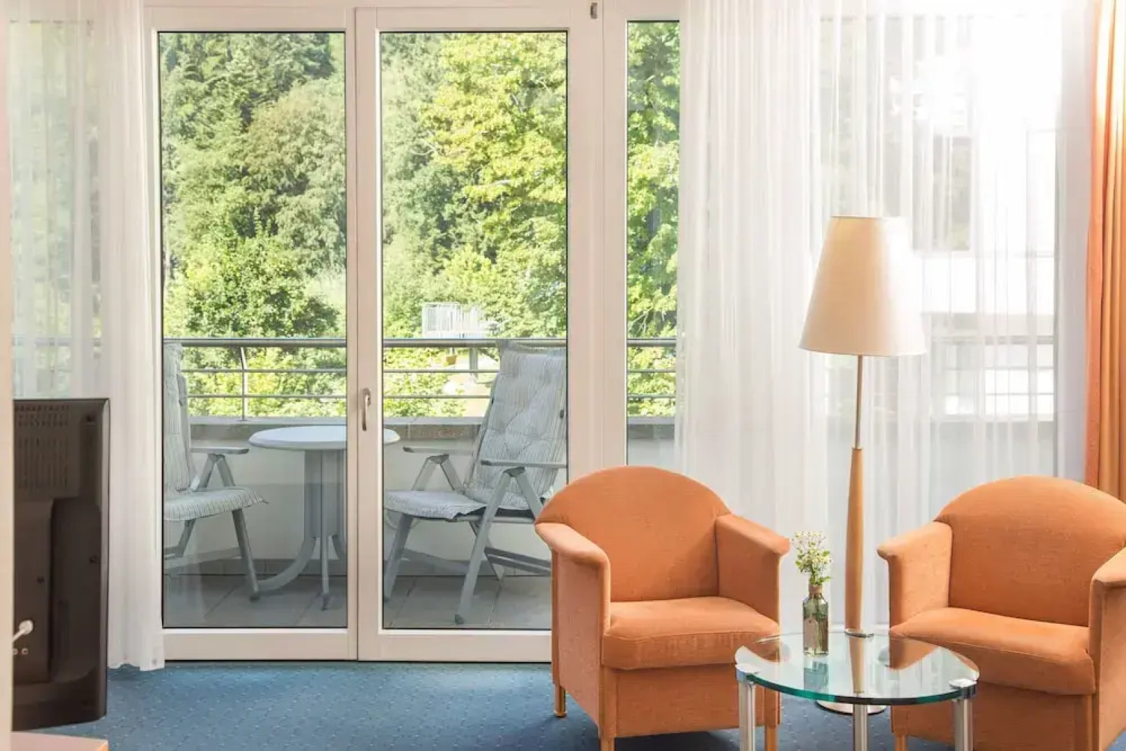 Schwarzwald Panorama