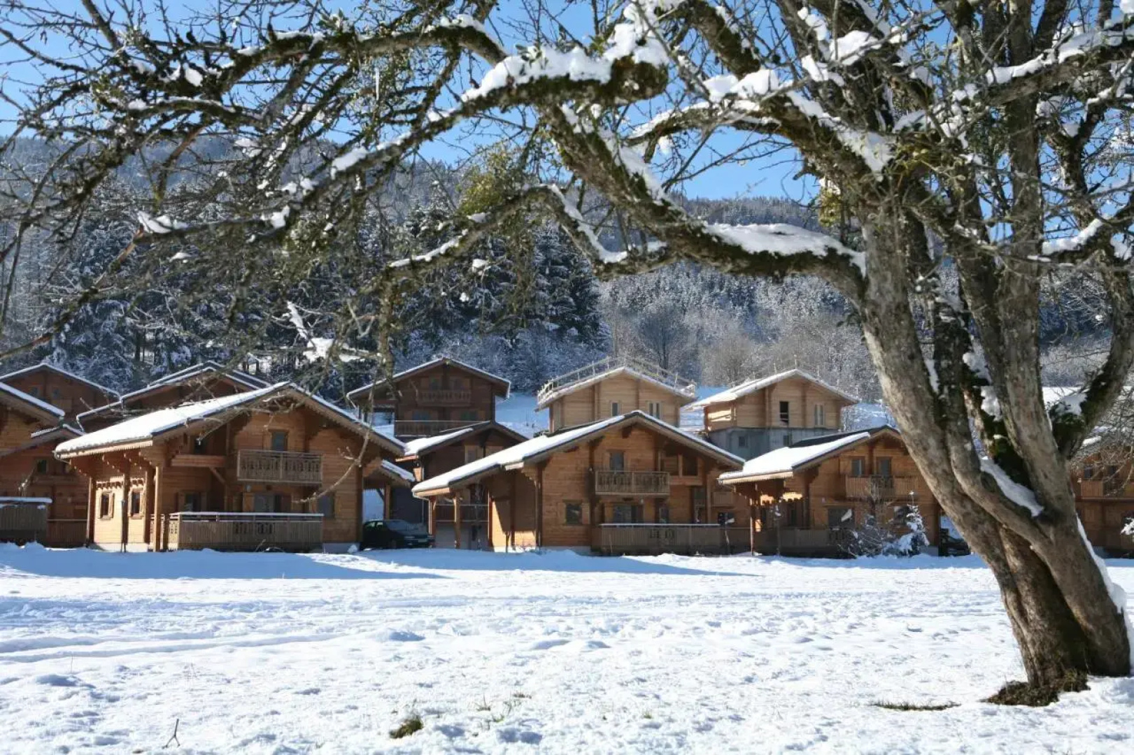 Résidence Nemea Les Chalets du Bois de Champelle