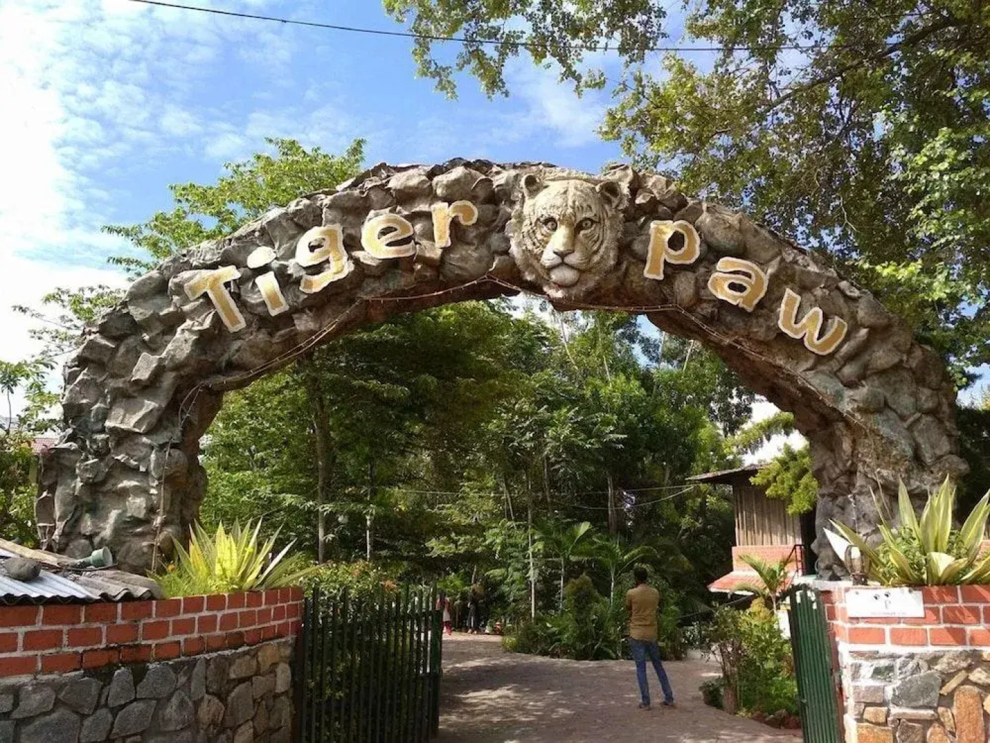 The Tiger Paw Resort