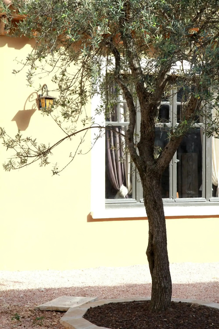 Hotel Le Clos Des Oliviers